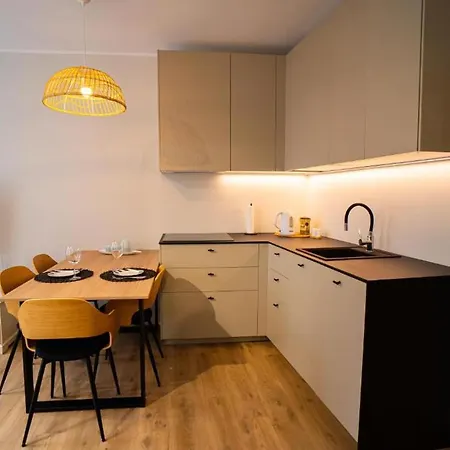 Dworska - Close To The & Regan Park By Downtown Apartment